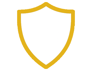 StudyPrepHQ 12 Insurance gold