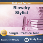 Blowdry Stylist Single Practice Test